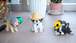 一生堂薬局の写真5